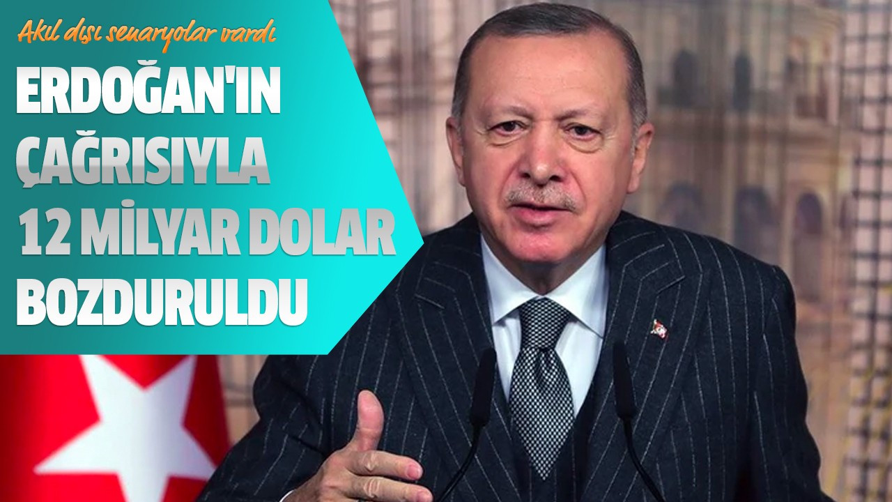 Erdoğan'ın çağrısıyla 12 milyar dolar bozduruldu