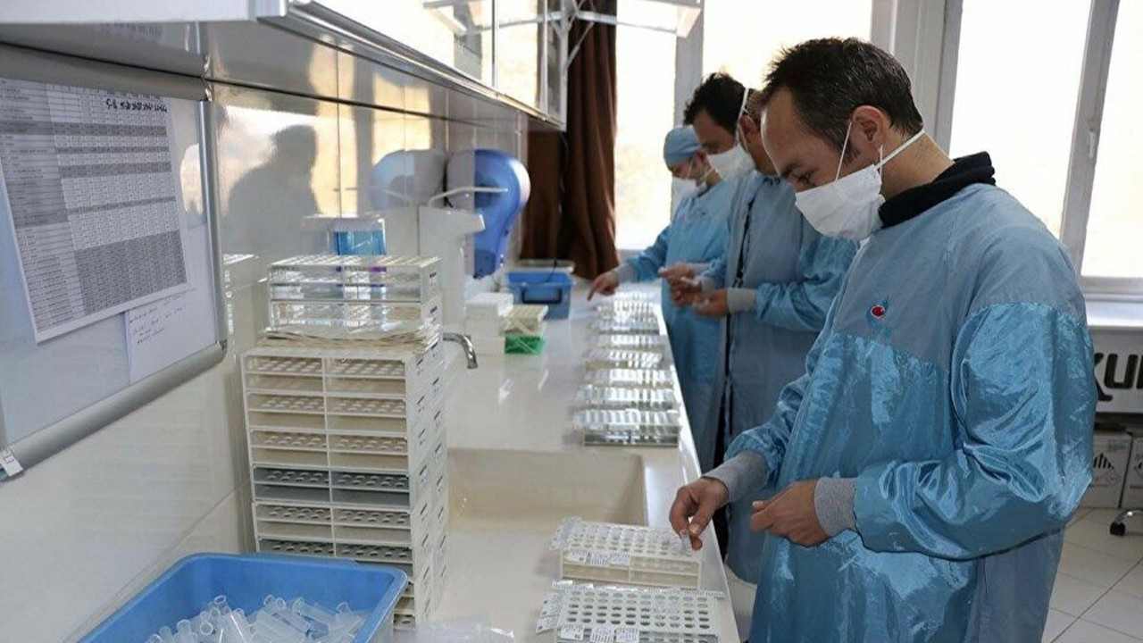 Yerli aşıda yeni gelişme!