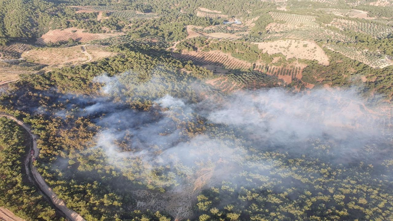 Manisa'da ormana sıçrayan yangın söndürüldü
