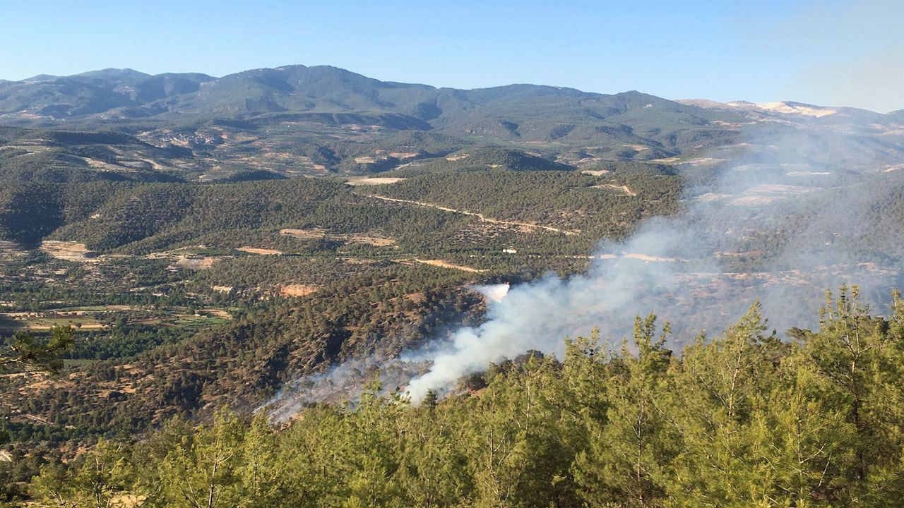 Aydın'ın Bozdoğan ilçesinde orman yangını çıktı