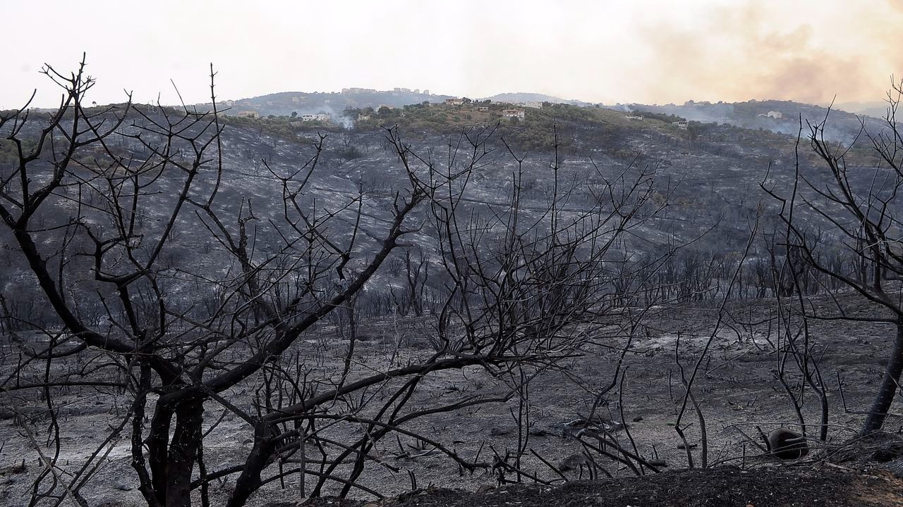 Cezayir'de 16 kentte 92 orman yangını sürüyor