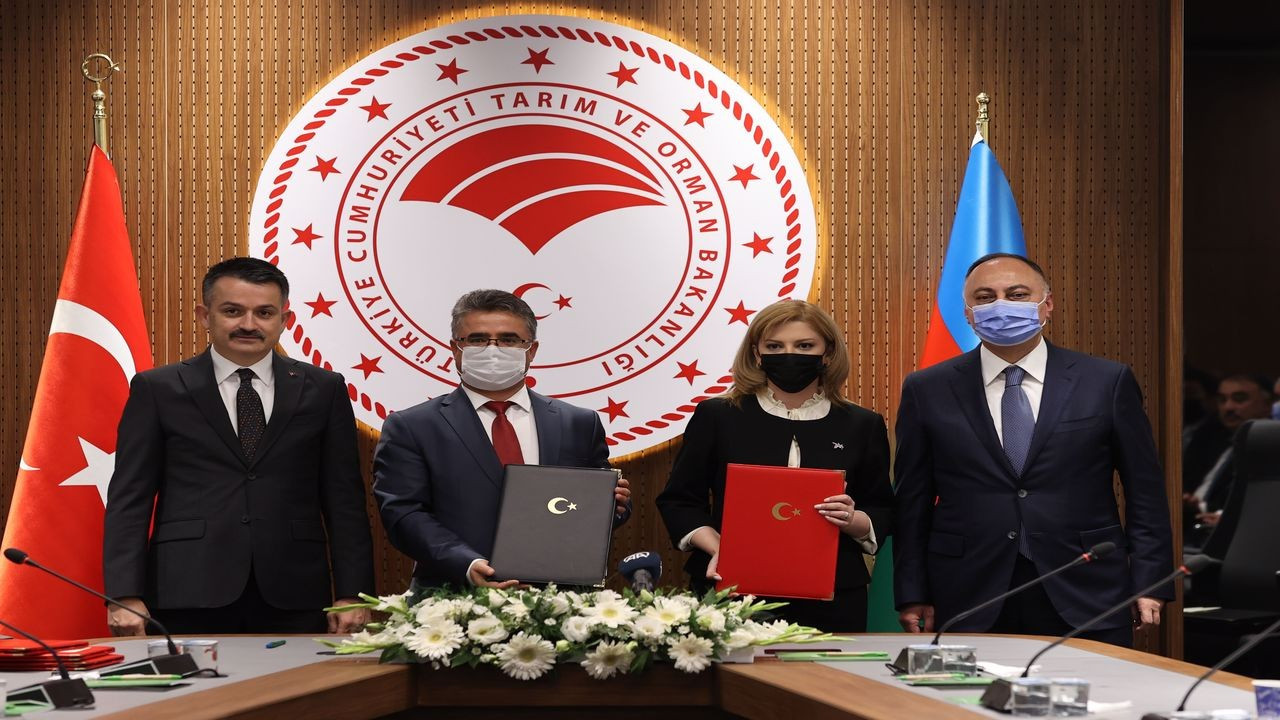 Türkiye ile Azerbaycan 4 anlaşma imzalandı