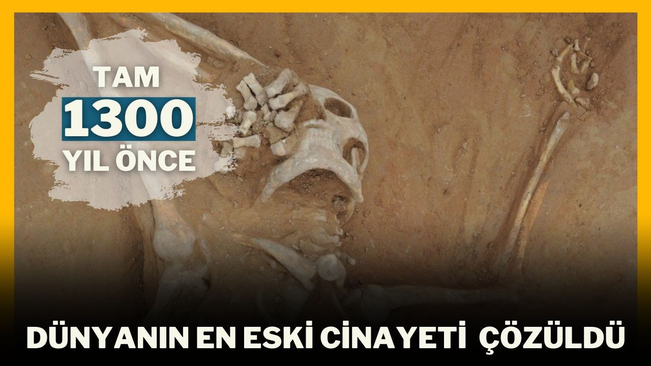 En eski cinayet bin 300 yıl sonra çözüldü