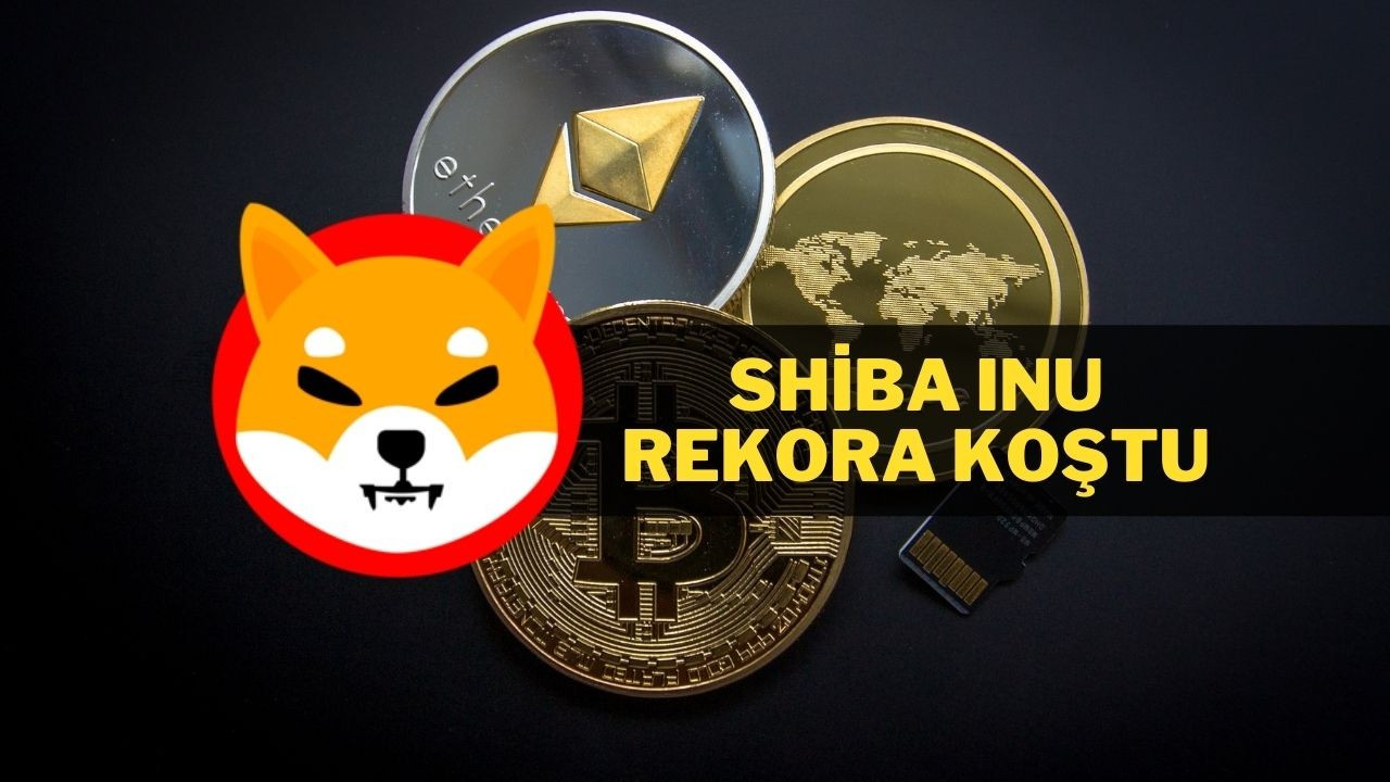 Shiba Inu kripto piyasasını alt üst etti!