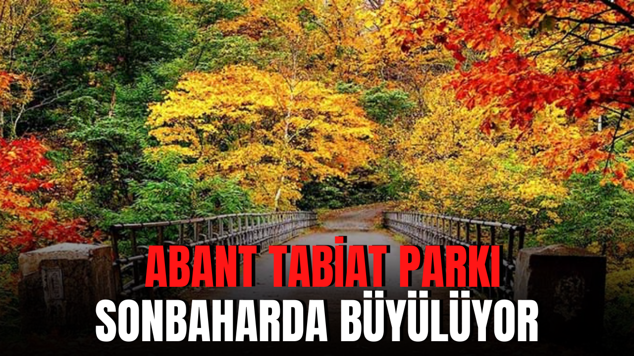 İki mevsimin birlikte yaşandığı Abant Tabiat Parkı