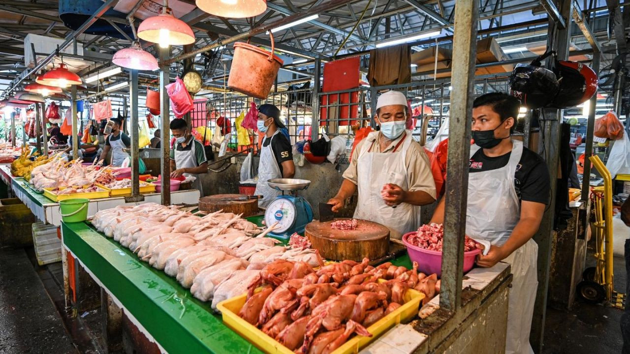 Çin'in vahşi hayvan pazarları virüs saçıyor - Sayfa 15