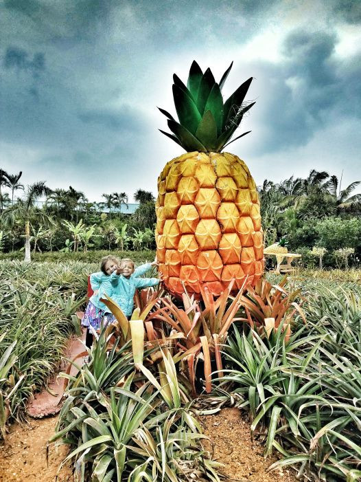 Okinawalıların uzun yaşam sırrı karbonhidrat mı? - Sayfa 6