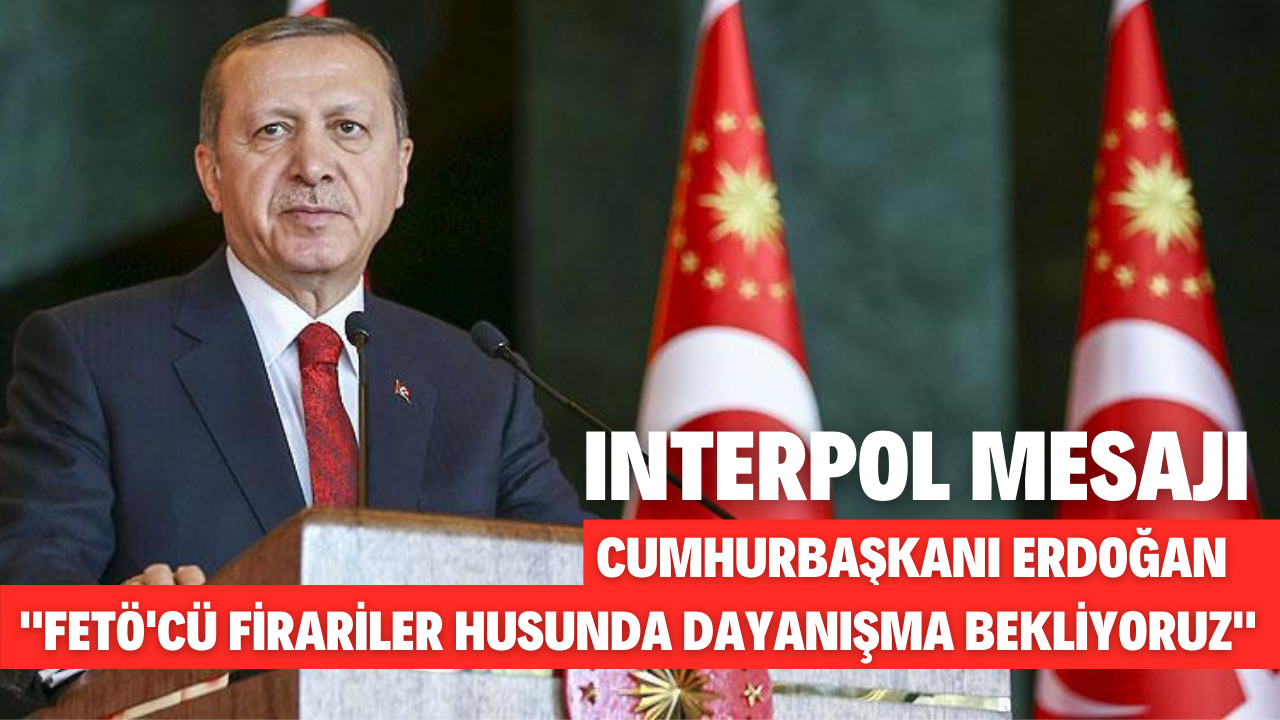Cumhurbaşkanı Erdoğan, Interpol 89. Genel Kurul