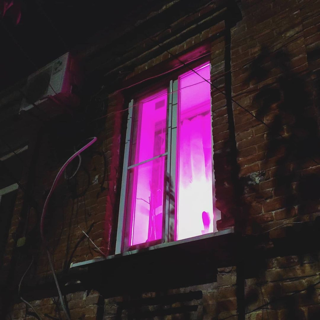 Rusya'da apartman dairelerindeki pembe ışıkların sırrı çözüldü - Sayfa 9