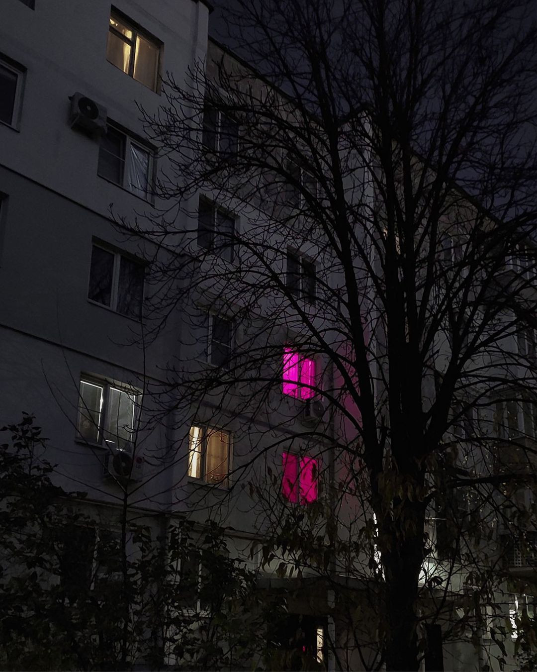 Rusya'da apartman dairelerindeki pembe ışıkların sırrı çözüldü - Sayfa 4