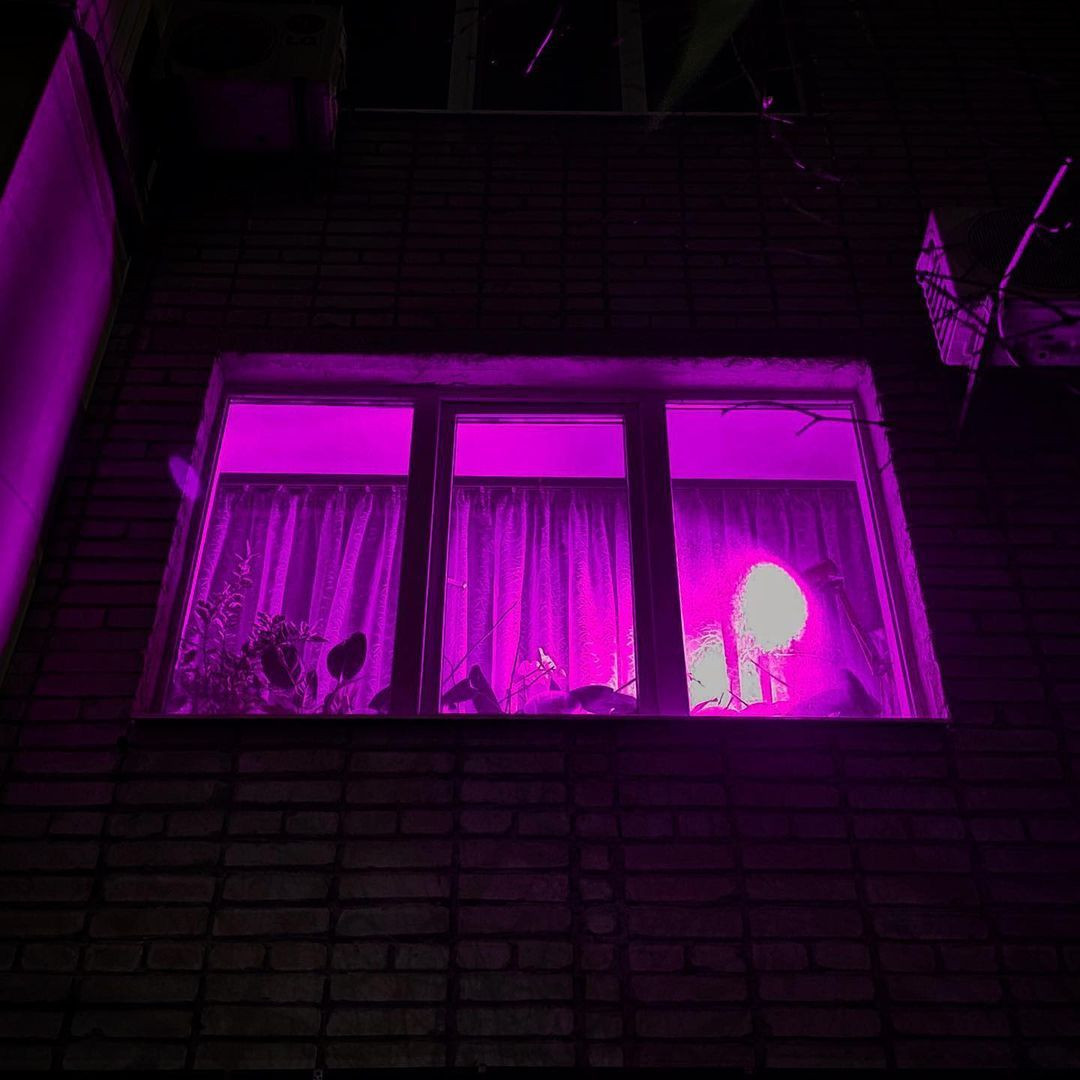 Rusya'da apartman dairelerindeki pembe ışıkların sırrı çözüldü - Sayfa 6