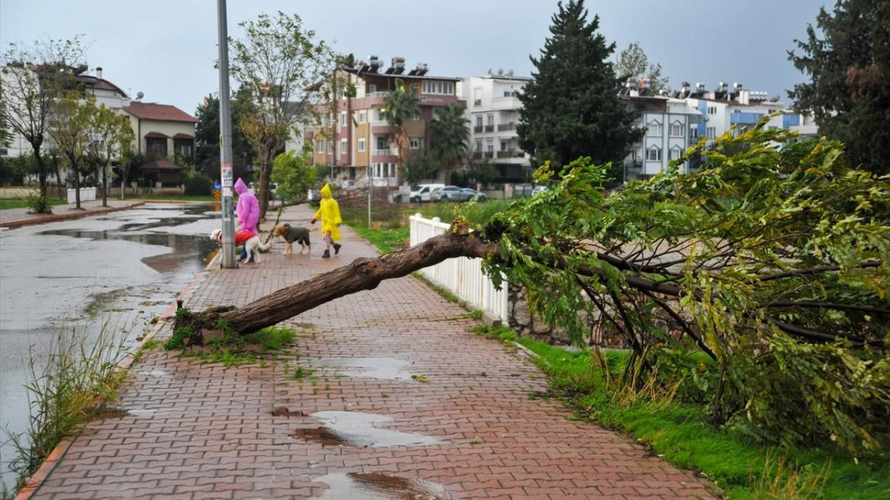 Fırtına ve şiddetli rüzgar hayatı olumsuz etkiledi - Sayfa 3