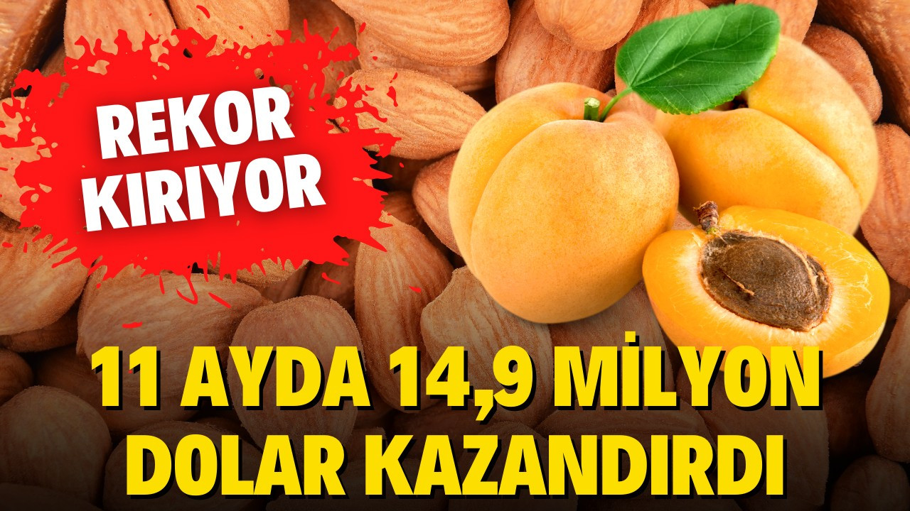 Kayısı çekirdeği 11 ayda 14,9 milyon dolar kazandı