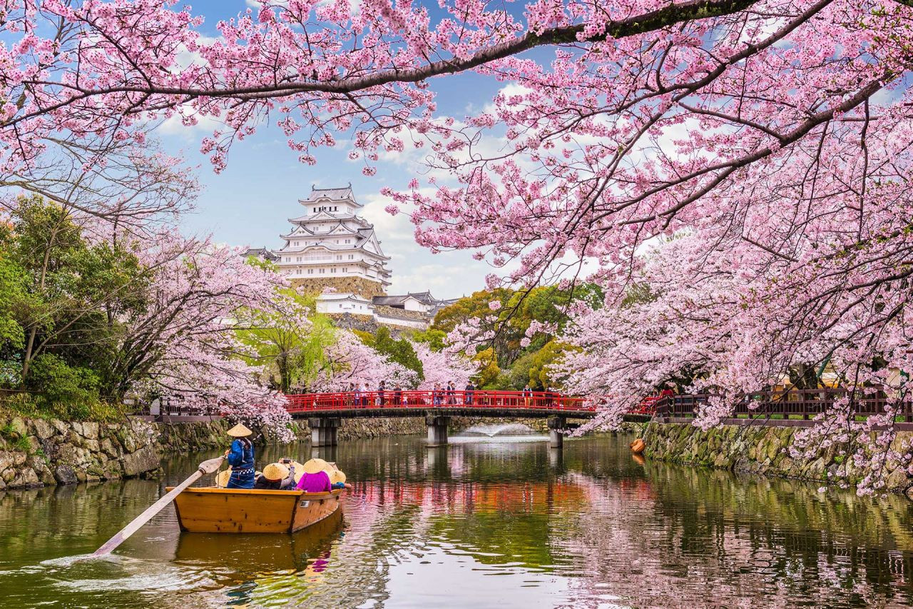 Japonya'da mutluluk kumbarası gündem oldu - Sayfa 5