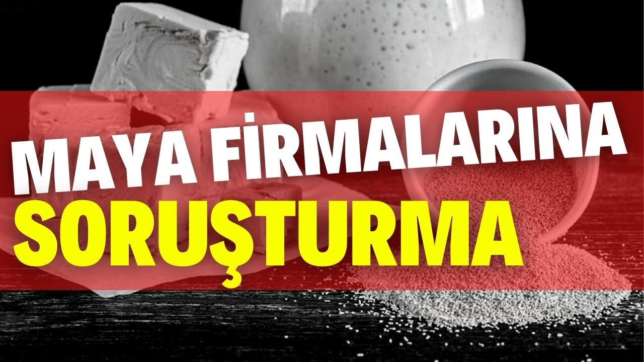 Maya firmalarına soruşturma