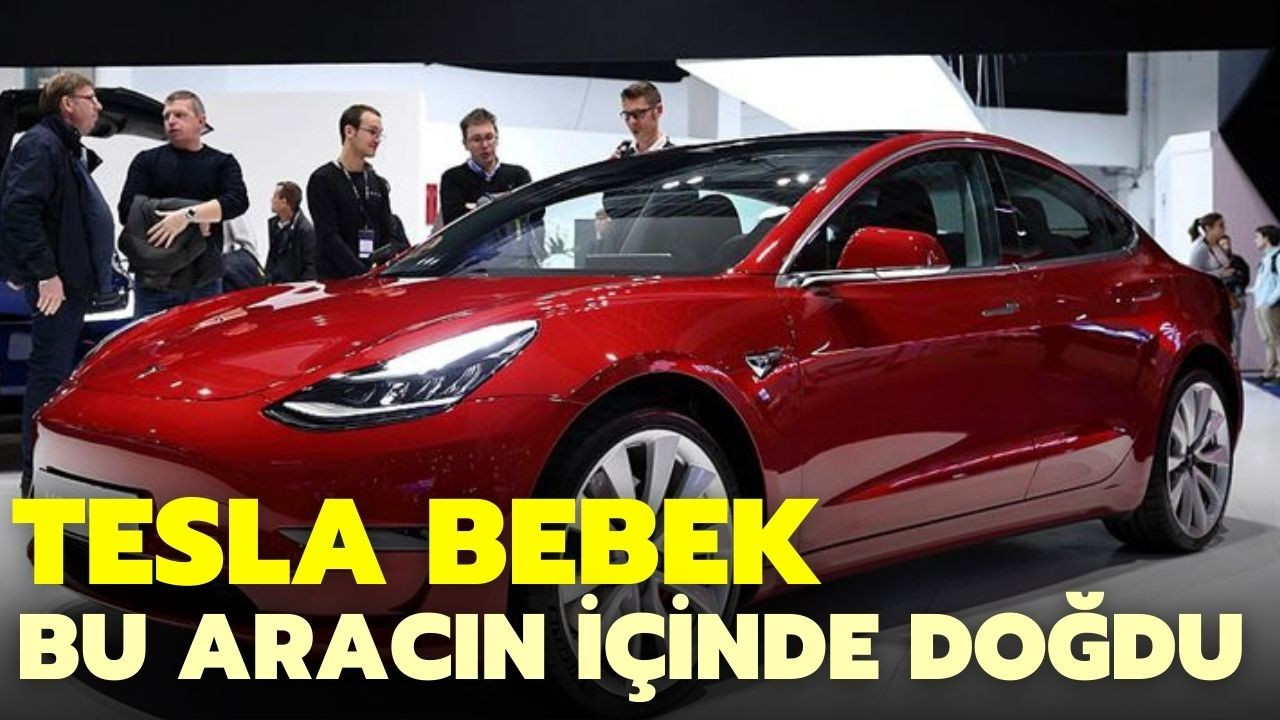 Tesla bebek dünyaya geldi