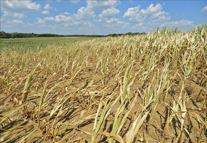 ABD'nin "felaket" yılı 2021 - Sayfa 10