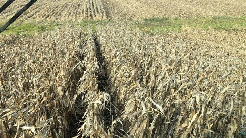 2022 Baba Vanga kehanetleri belli oldu - Sayfa 17