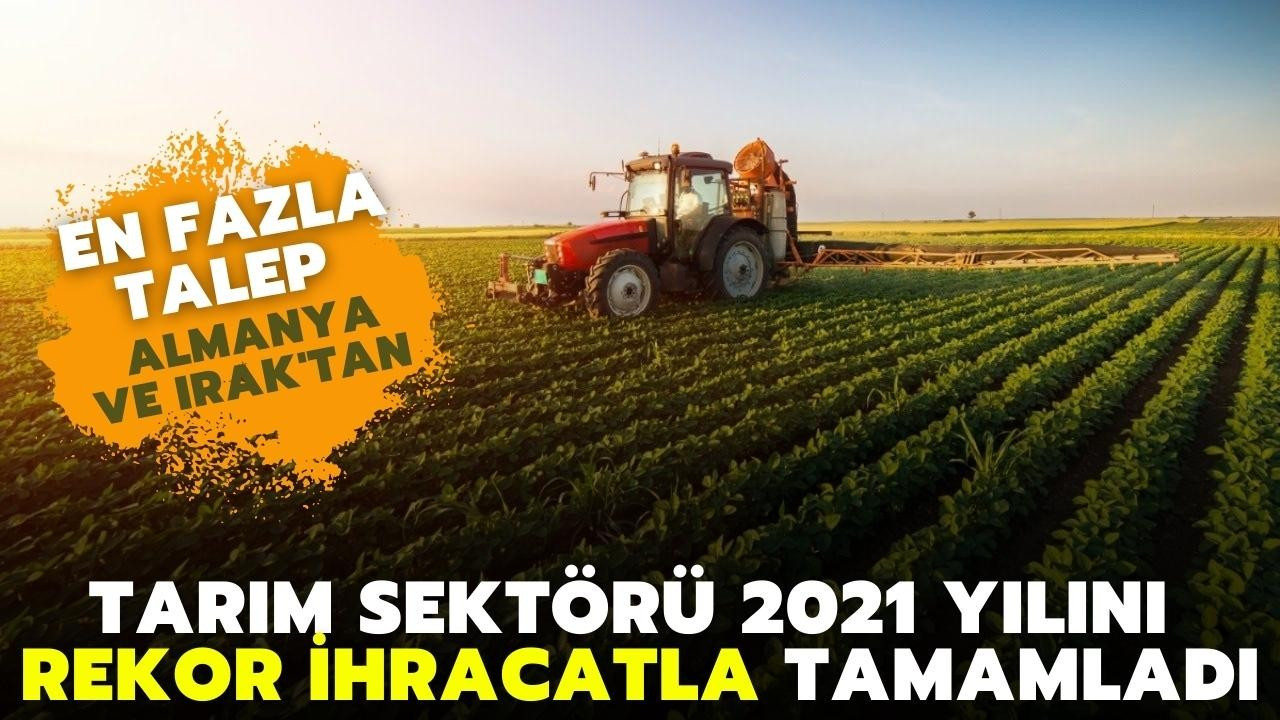 Tarım sektörü 2021'i rekor ihracatla tamamladı