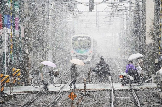 Japonya'da kar yağışı hayatı felç ediyor - Sayfa 2