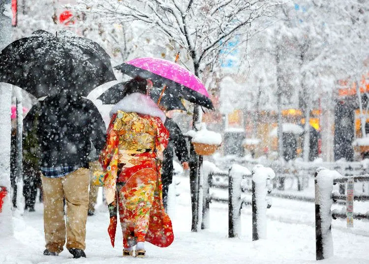 Japonya'da kar yağışı hayatı felç ediyor