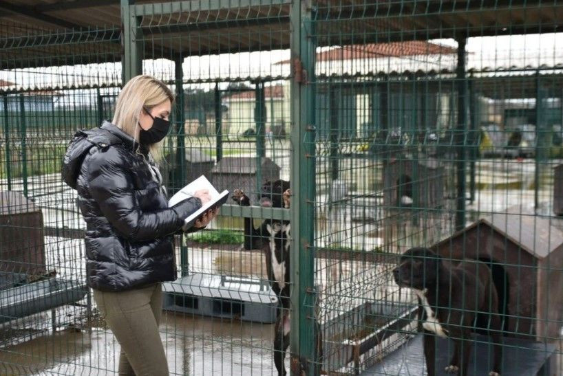 'Yasaklı ırk' köpekler için barınakta yer kalmadı - Sayfa 6