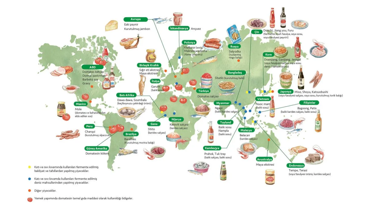 5. Tat; "Umami" nedir?