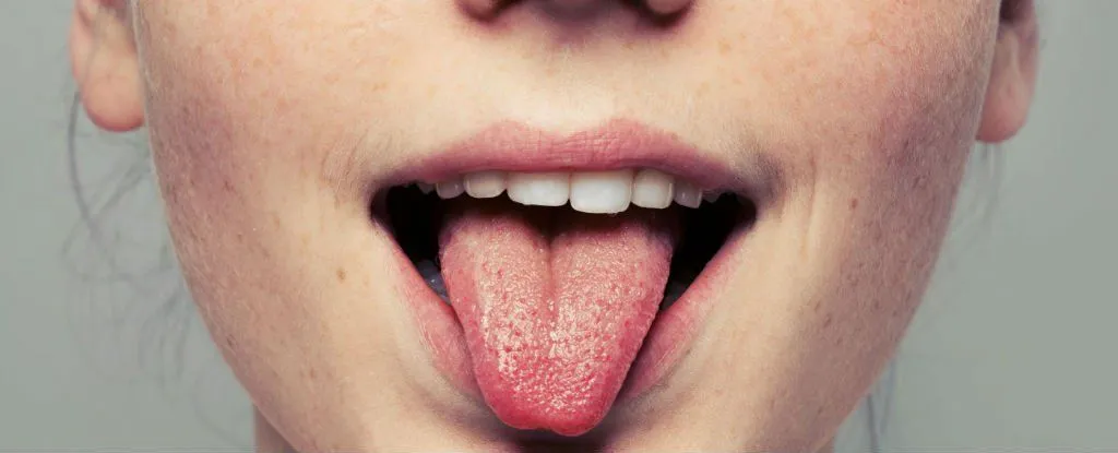 5. Tat; "Umami" nedir?