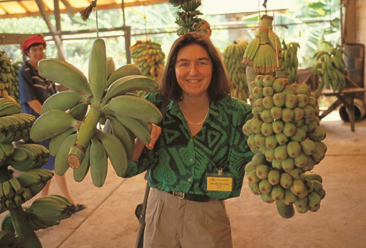 "Yalancı muz"  adıyla bilinen "enset" iklim değişikliği ve açlığa çare mi? - Sayfa 11