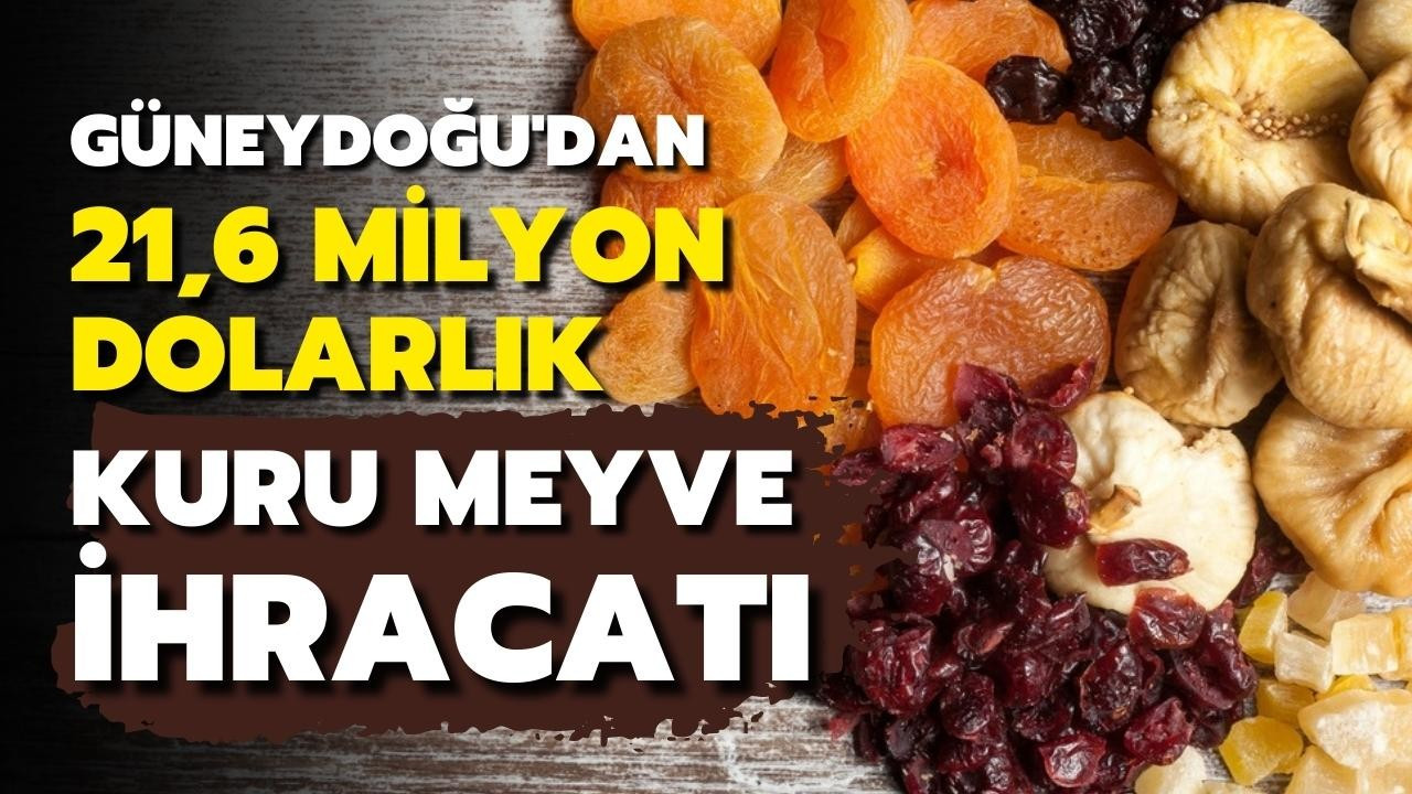 Güneydoğu'dan kuru meyve ihracatı