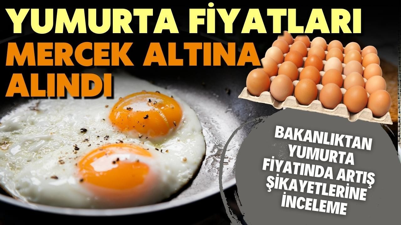 Yumurta fiyatına inceleme