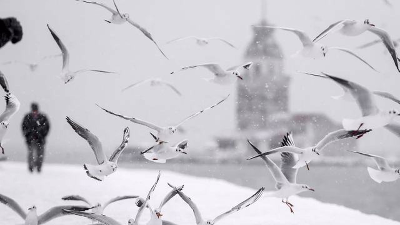 İstanbul Valisi Yerlikaya'dan kar yağışı uyarısı