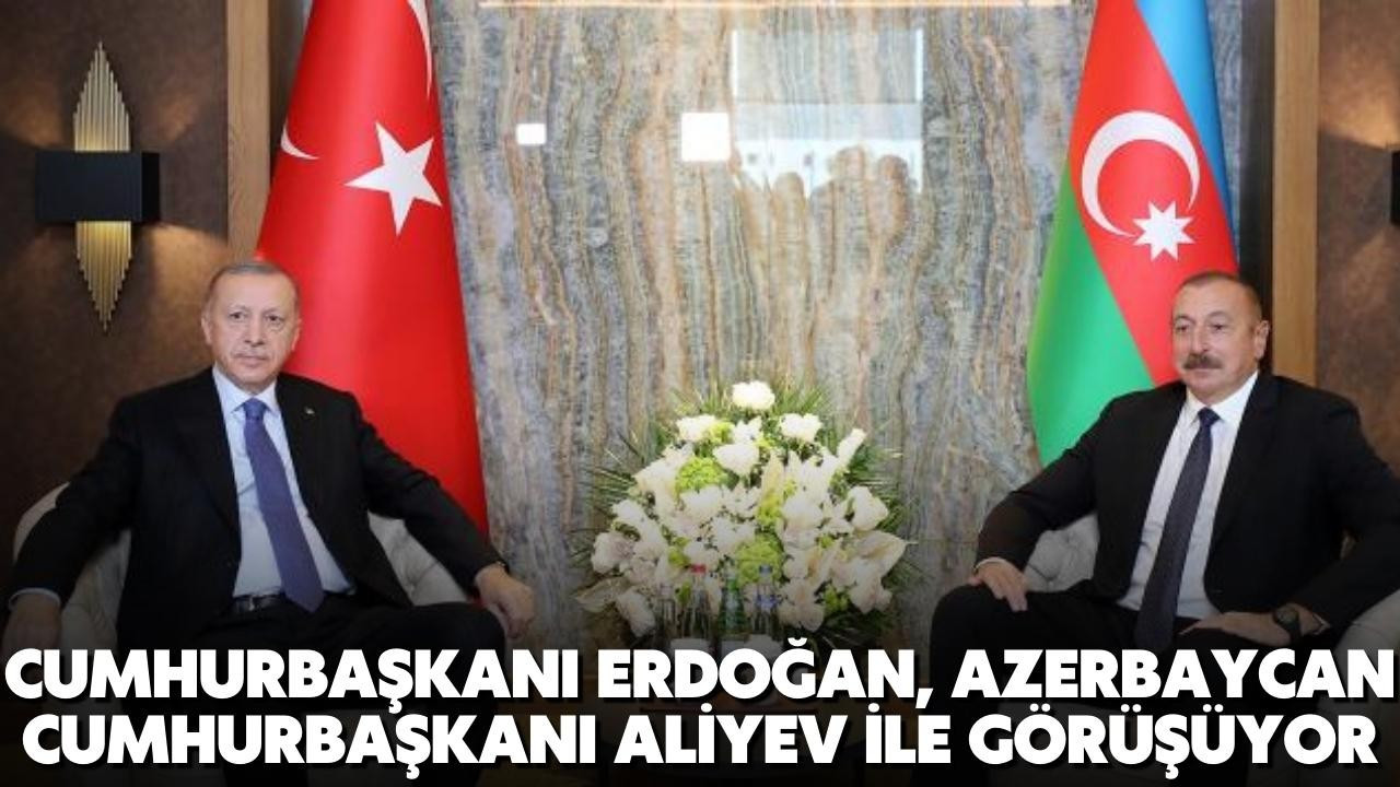 Erdoğan, Aliyev ile görüşüyor