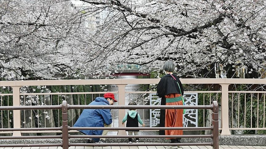 Japonya'da ilkbahar başlangıcının simgesi sakuralar açtı - Sayfa 9