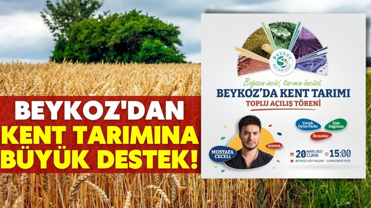 Beykoz'dan kent tarımına büyük destek!