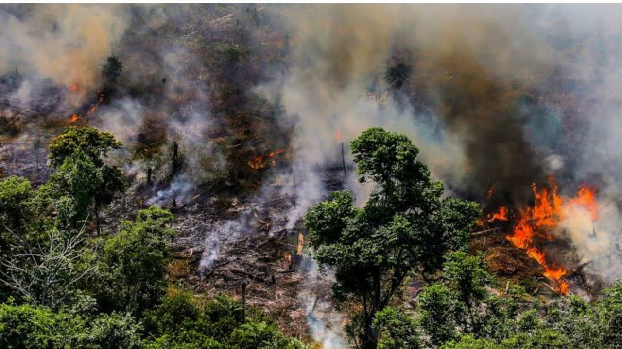 Honduras'ta 78 bin 600 hektar alan kül oldu