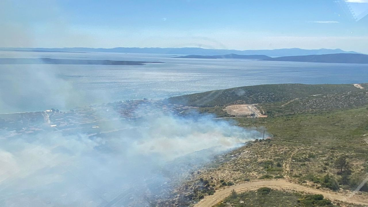 Urla ve Dikili'de ormanlık alanlarda yangın çıktı
