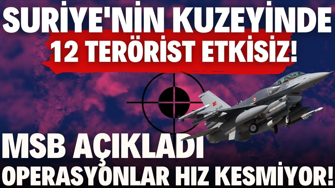 12 PKK/YPG'li terörist etkisiz hale getirildi