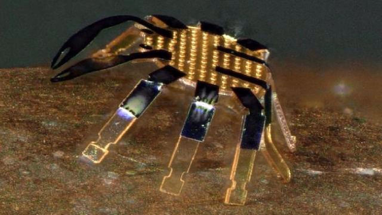 ABD'de dünyanın en küçük robotu icat edildi
