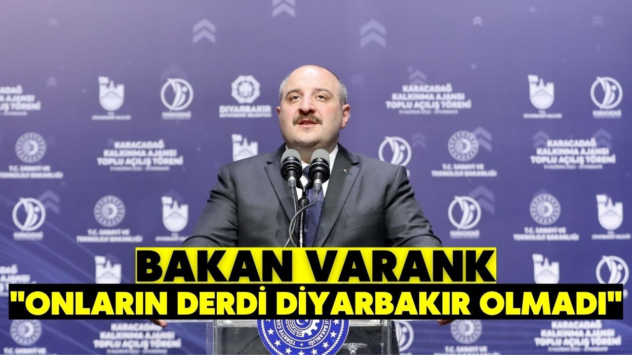 Bakan Varank, Diyarbakır'da konuştu