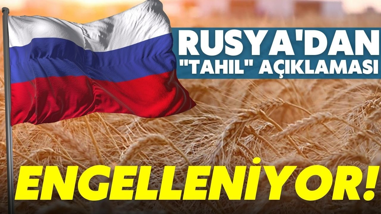 Kremlin'den "tahıl" açıklaması: Engelleniyor!