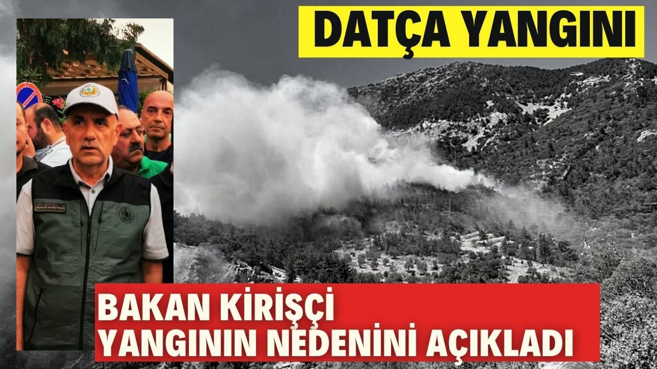 Datça'da orman yangını