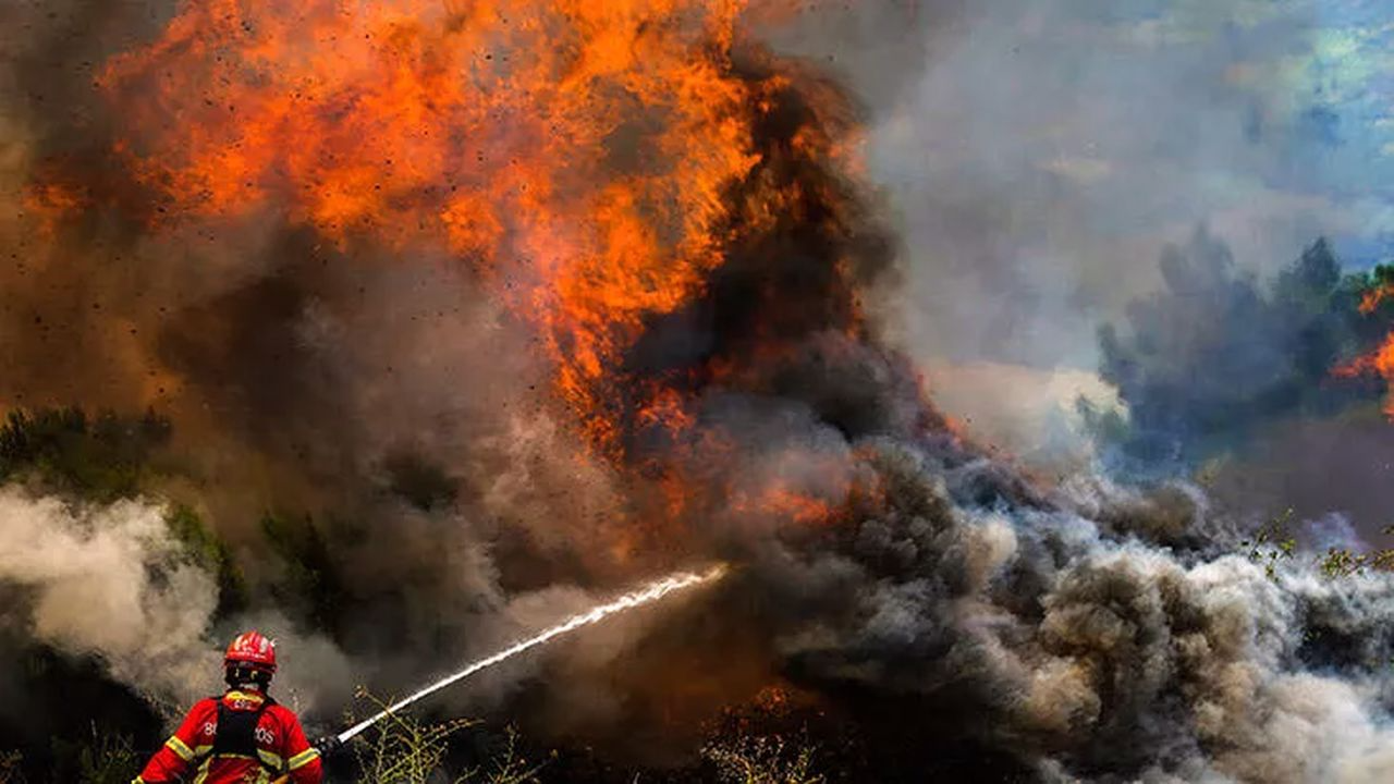 Portekiz'de yangın söndürme uçağı düştü: 1 ölü