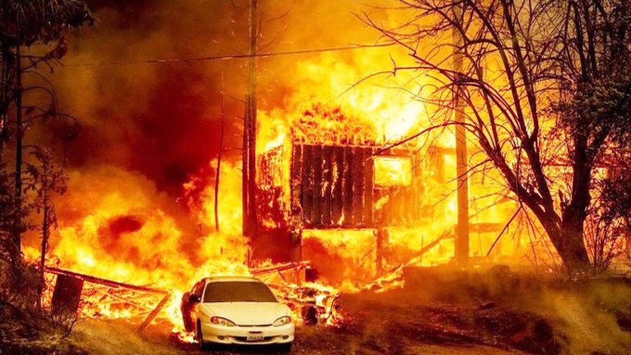 Yangınlarda 6 bin 300 hektar alan zarar gördü
