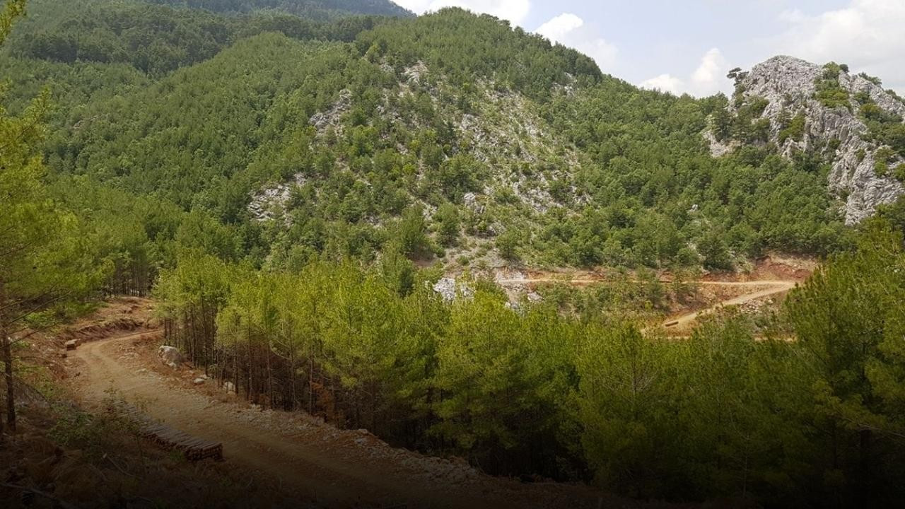Antalya'da orman teşkilatı teyakkuzda!