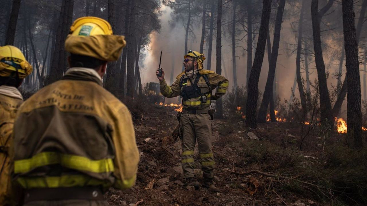 Yangınlarda 47 bin hektardan fazla alan hasar aldı