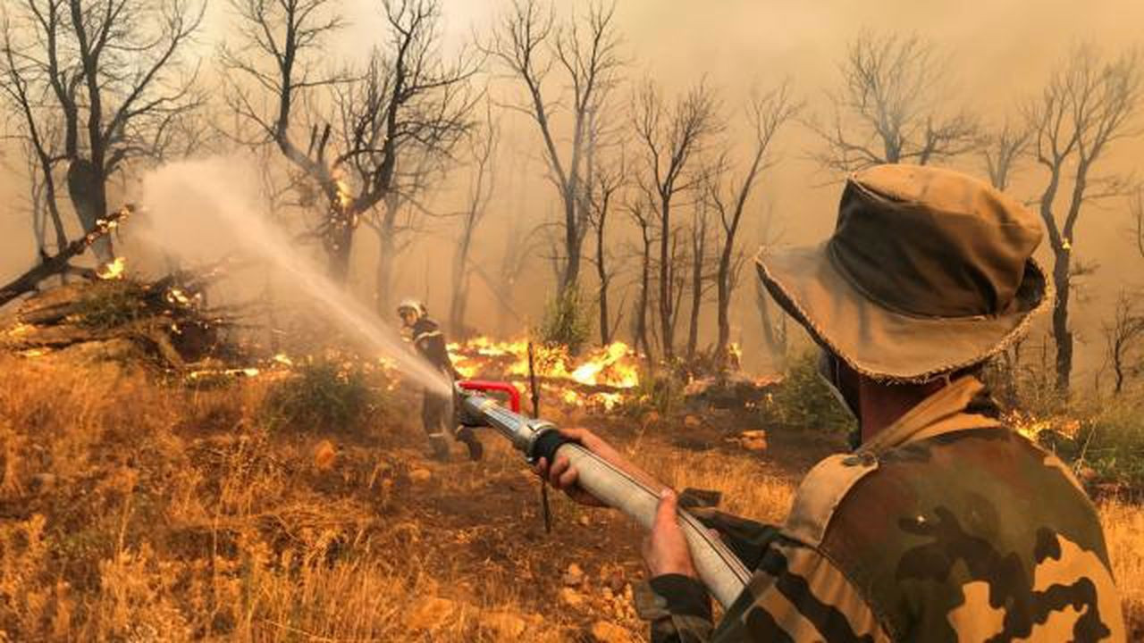 26 noktada orman yangını: 41 kişi öldü