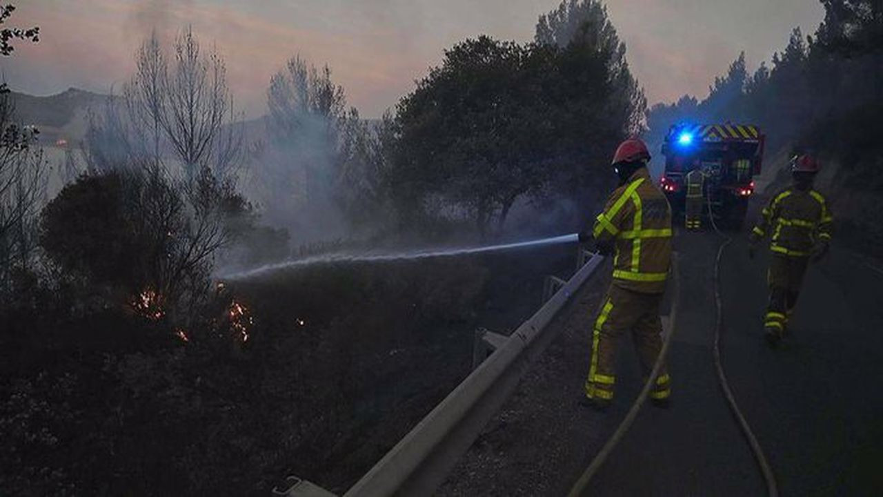 Yangında 125 hektardan fazla yeşil alan yandı