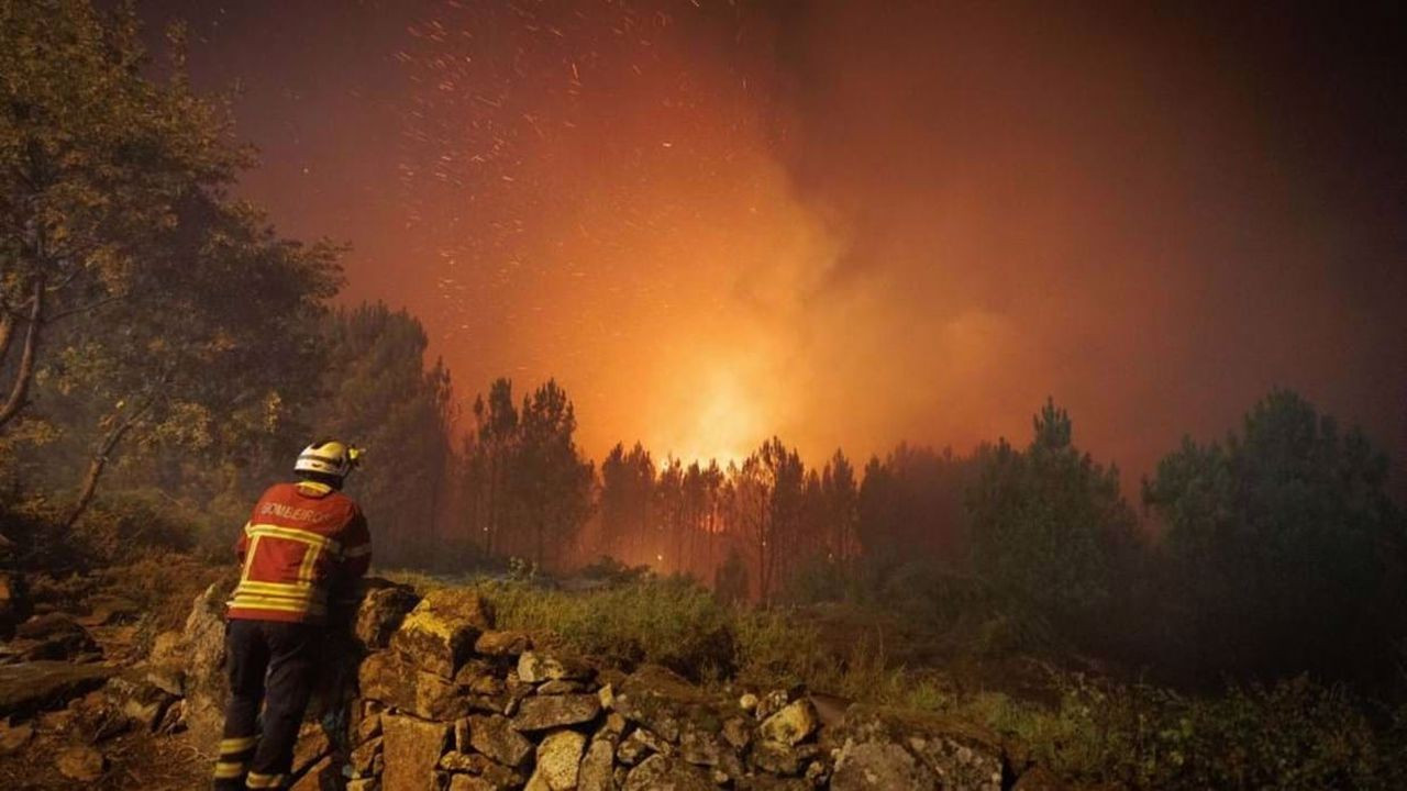 2'si büyük 14 yerde orman yangınları devam ediyor