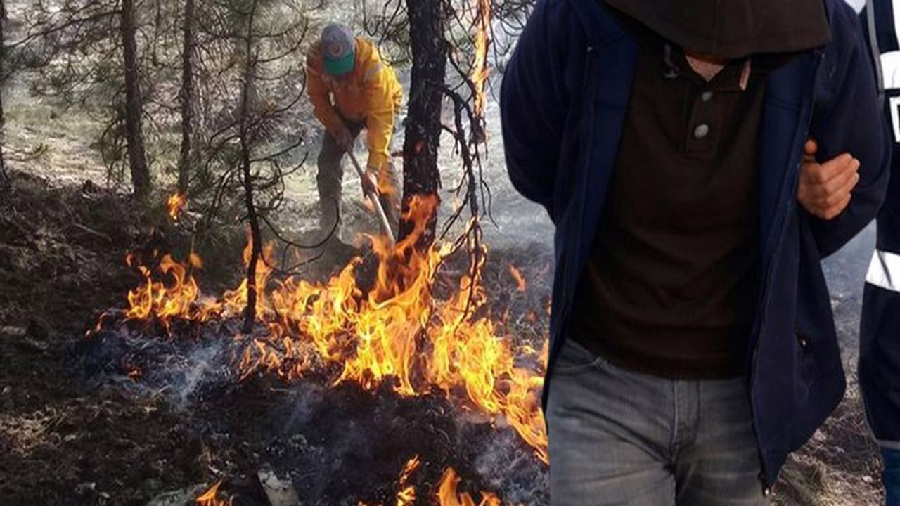 PKK'nın orman yakma emri verdiği kişi yakalandı